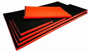 Mata Dezynfekcyjna 150x100x2cm Fluo 3W